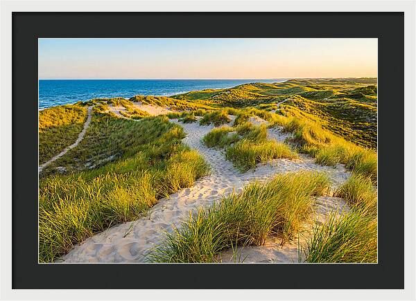 Coastal Dune Serenity