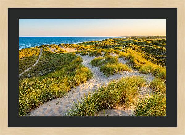 Coastal Dune Serenity