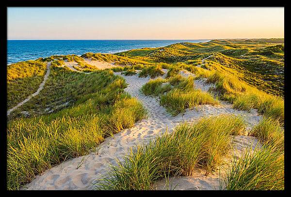 Coastal Dune Serenity