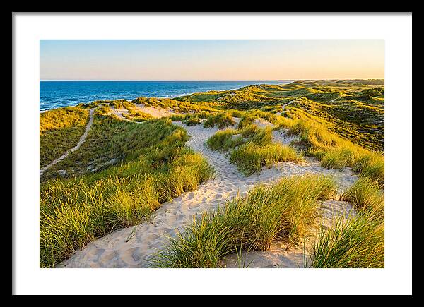 Coastal Dune Serenity