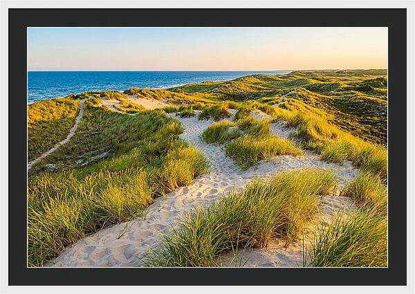 Coastal Dune Serenity