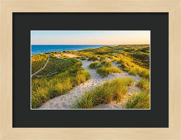 Coastal Dune Serenity