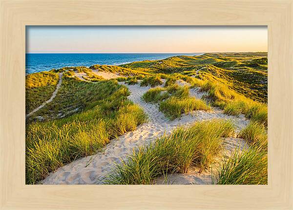 Coastal Dune Serenity