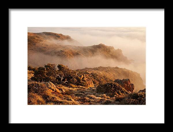 Coastal Fog Over Golden Headland