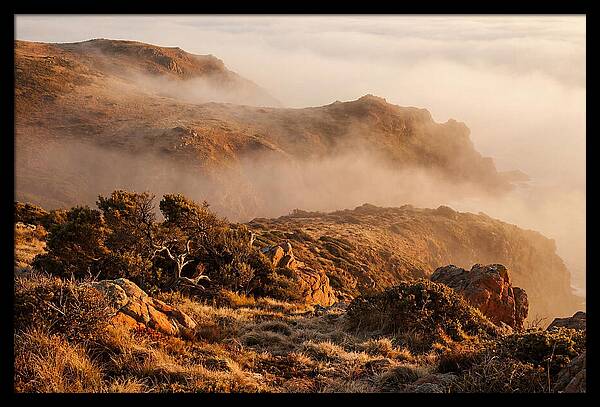 Coastal Fog Over Golden Headland