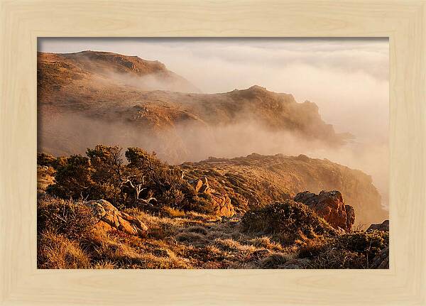 Coastal Fog Over Golden Headland
