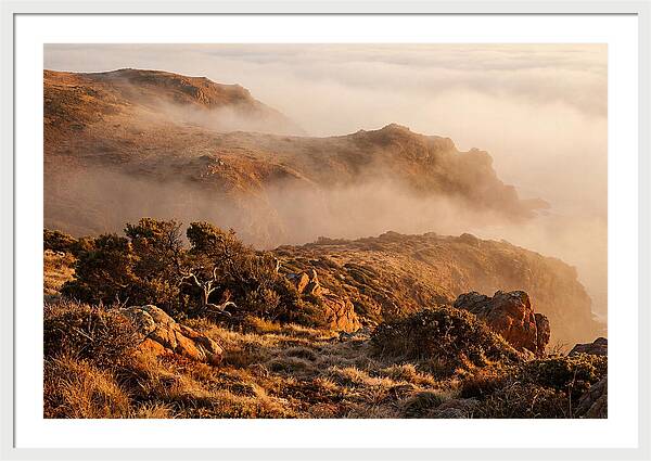 Coastal Fog Over Golden Headland