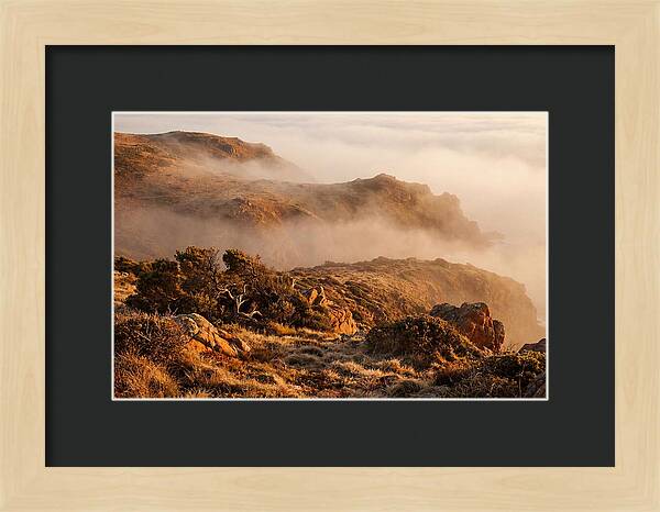 Coastal Fog Over Golden Headland