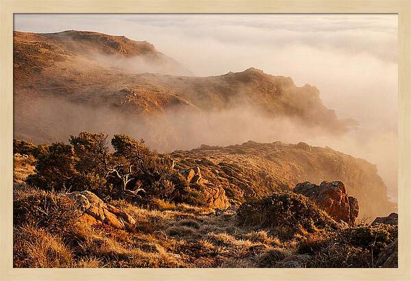 Coastal Fog Over Golden Headland