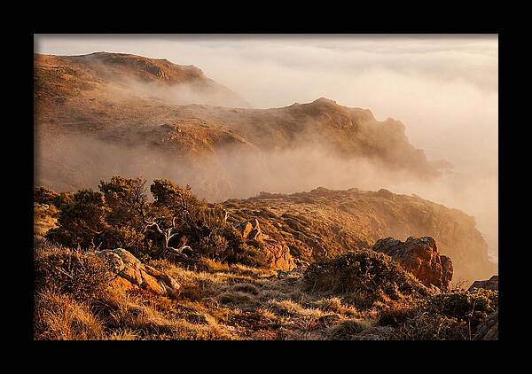 Coastal Fog Over Golden Headland