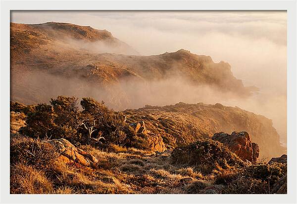 Coastal Fog Over Golden Headland