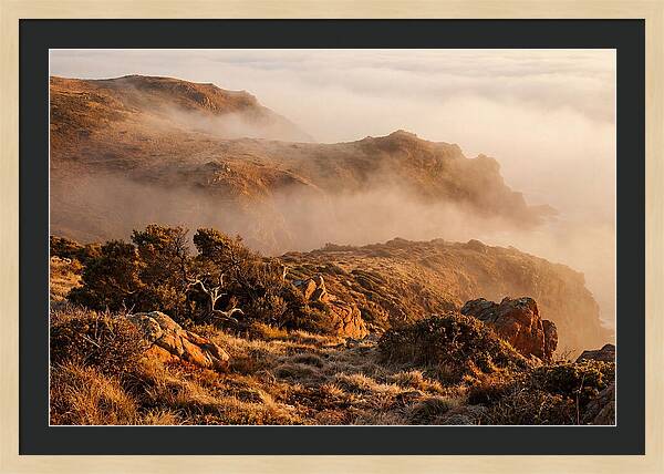Coastal Fog Over Golden Headland