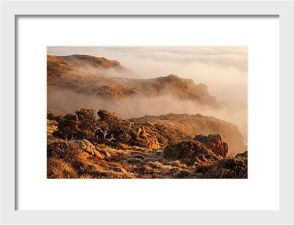Coastal Fog Over Golden Headland