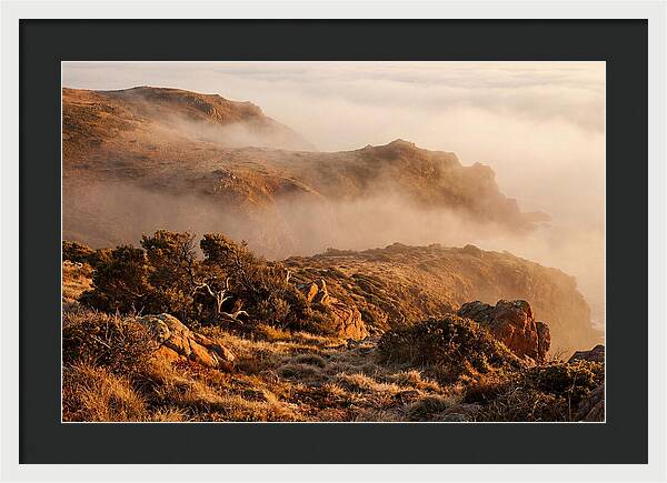 Coastal Fog Over Golden Headland