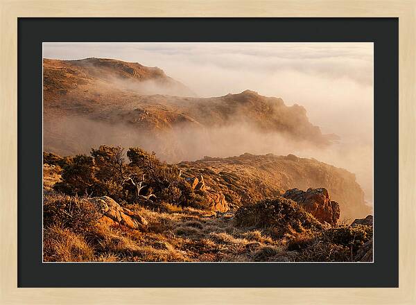 Coastal Fog Over Golden Headland
