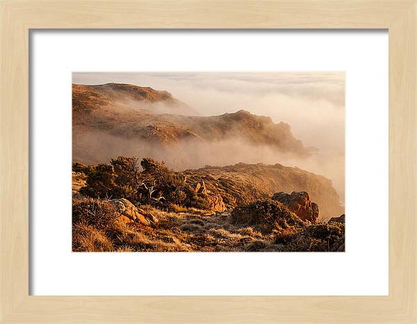 Coastal Fog Over Golden Headland
