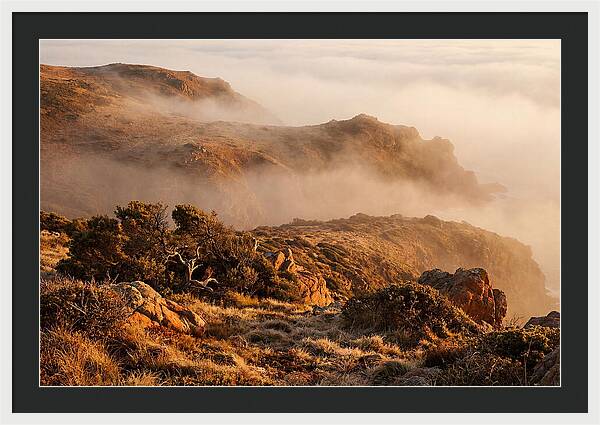 Coastal Fog Over Golden Headland