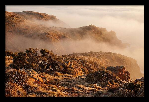Coastal Fog Over Golden Headland