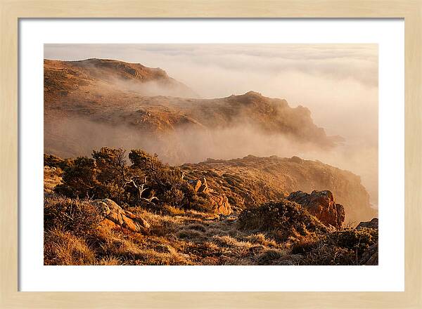 Coastal Fog Over Golden Headland