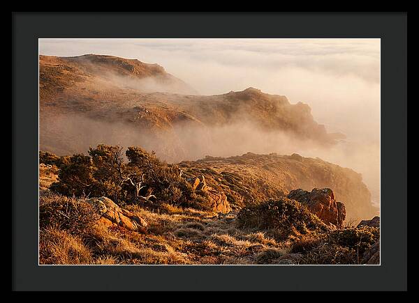 Coastal Fog Over Golden Headland