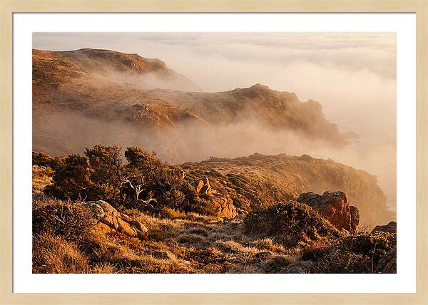Coastal Fog Over Golden Headland