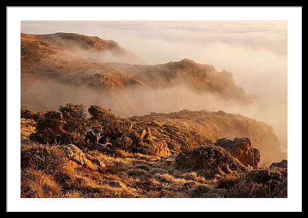 Coastal Fog Over Golden Headland