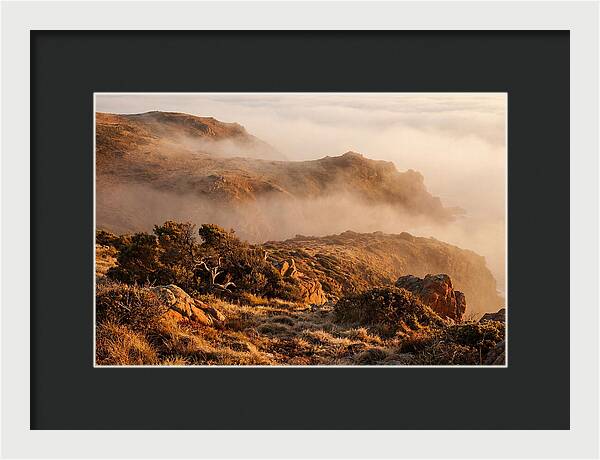 Coastal Fog Over Golden Headland