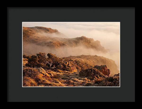Coastal Fog Over Golden Headland