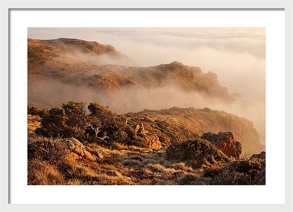 Coastal Fog Over Golden Headland