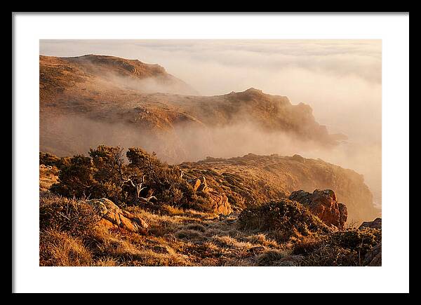 Coastal Fog Over Golden Headland