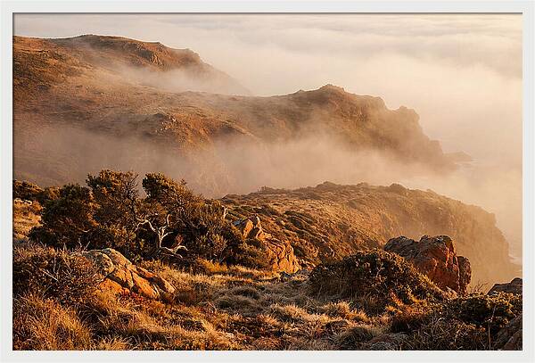 Coastal Fog Over Golden Headland