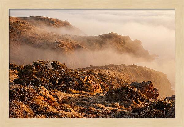 Coastal Fog Over Golden Headland