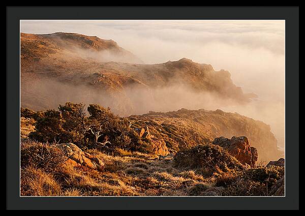 Coastal Fog Over Golden Headland