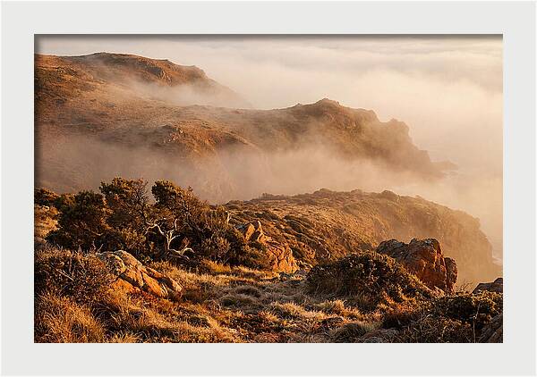 Coastal Fog Over Golden Headland