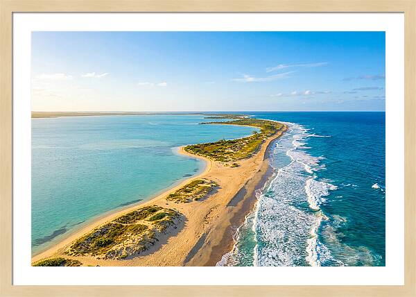 Coastal Lagoon Serenity
