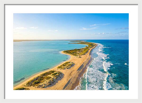Coastal Lagoon Serenity