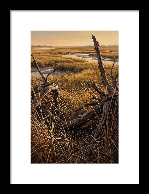 Coastal Marsh Serenity