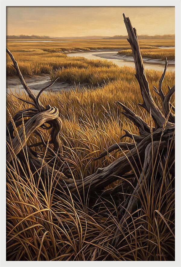 Coastal Marsh Serenity