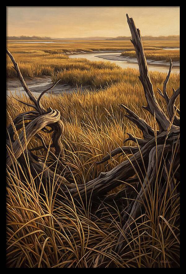 Coastal Marsh Serenity