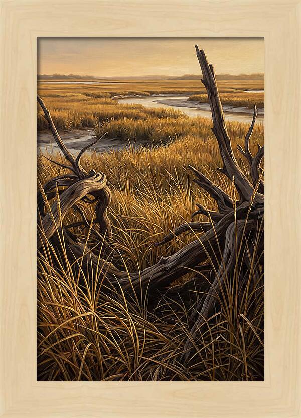 Coastal Marsh Serenity