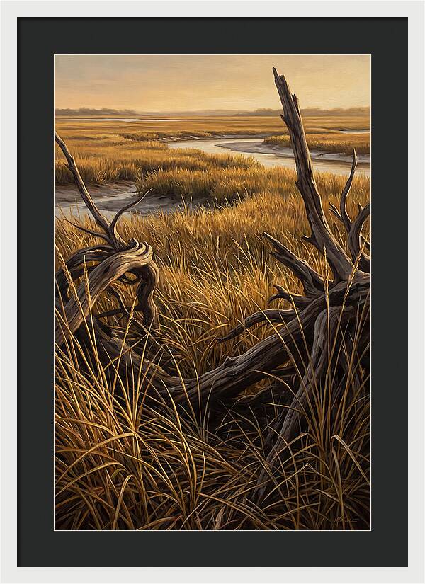 Coastal Marsh Serenity