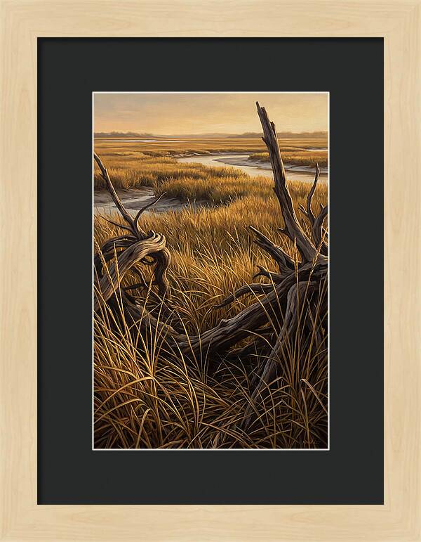 Coastal Marsh Serenity