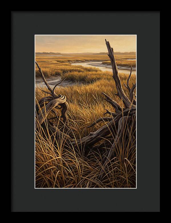 Coastal Marsh Serenity