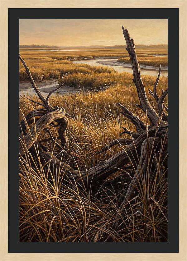 Coastal Marsh Serenity