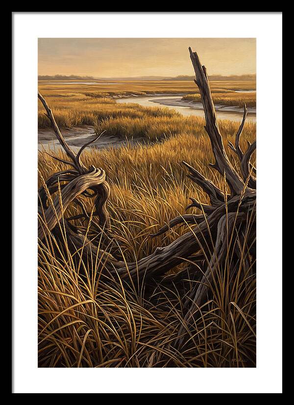 Coastal Marsh Serenity