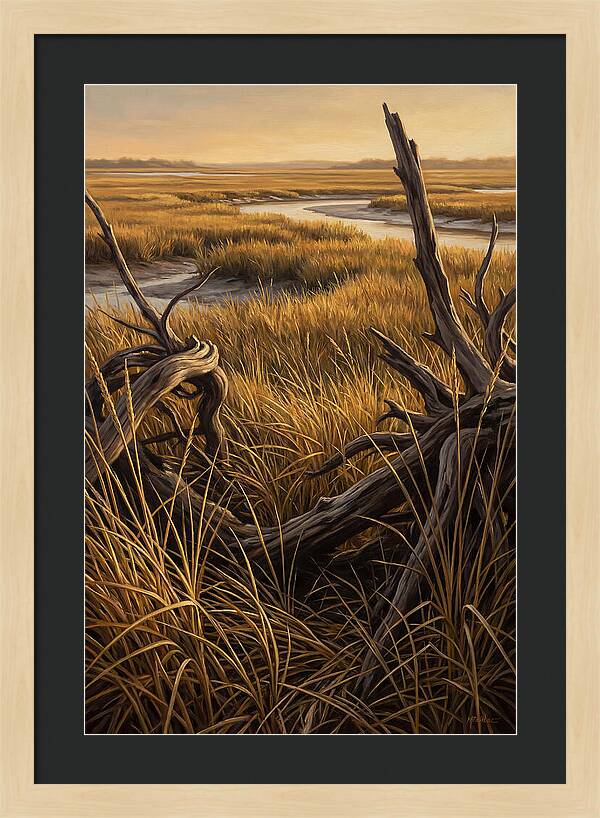 Coastal Marsh Serenity