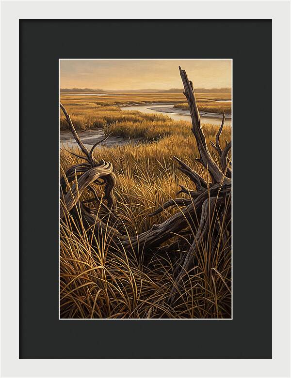 Coastal Marsh Serenity