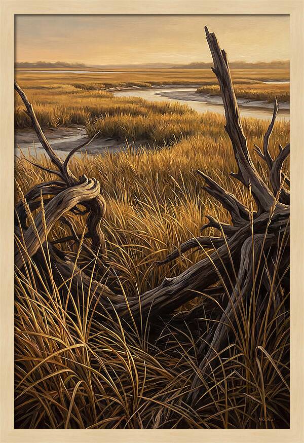 Coastal Marsh Serenity