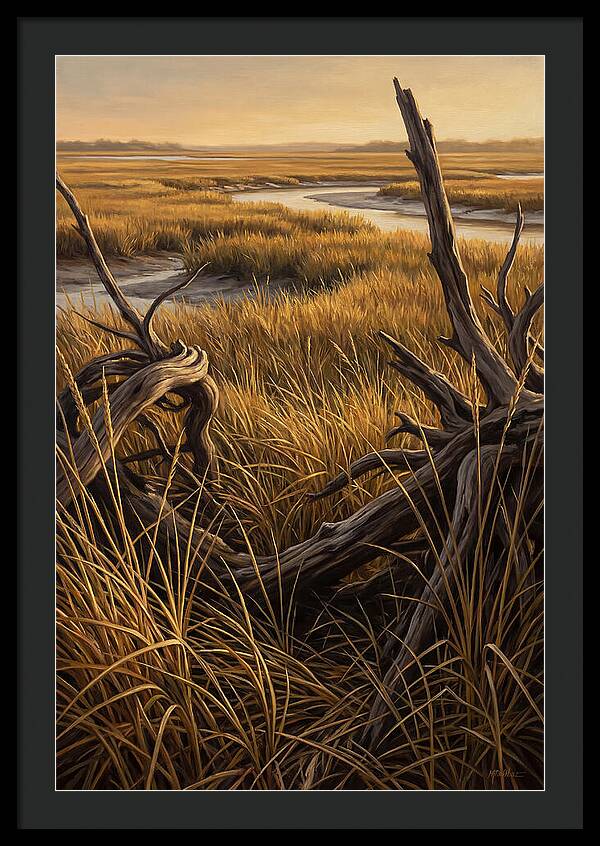 Coastal Marsh Serenity