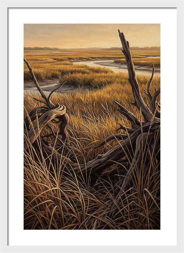Coastal Marsh Serenity